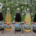 LemBi appel - perensap 0,2l